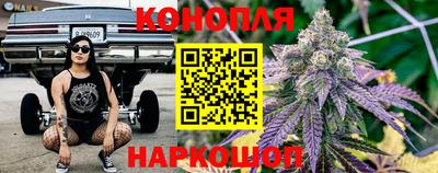 МДПВ Краснознаменск