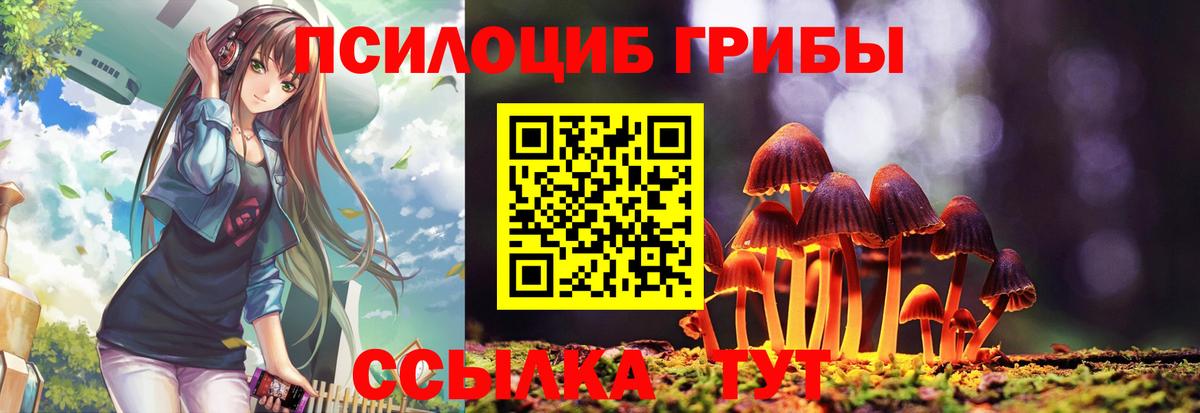 Галлюциногенные грибы Psilocybe  Вход с VPN  Элиста  Галлюциногенные грибы мухоморы 